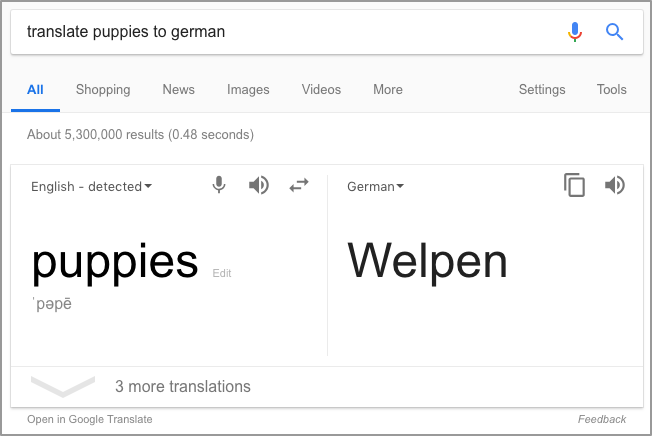 translate puppies to german Google Search