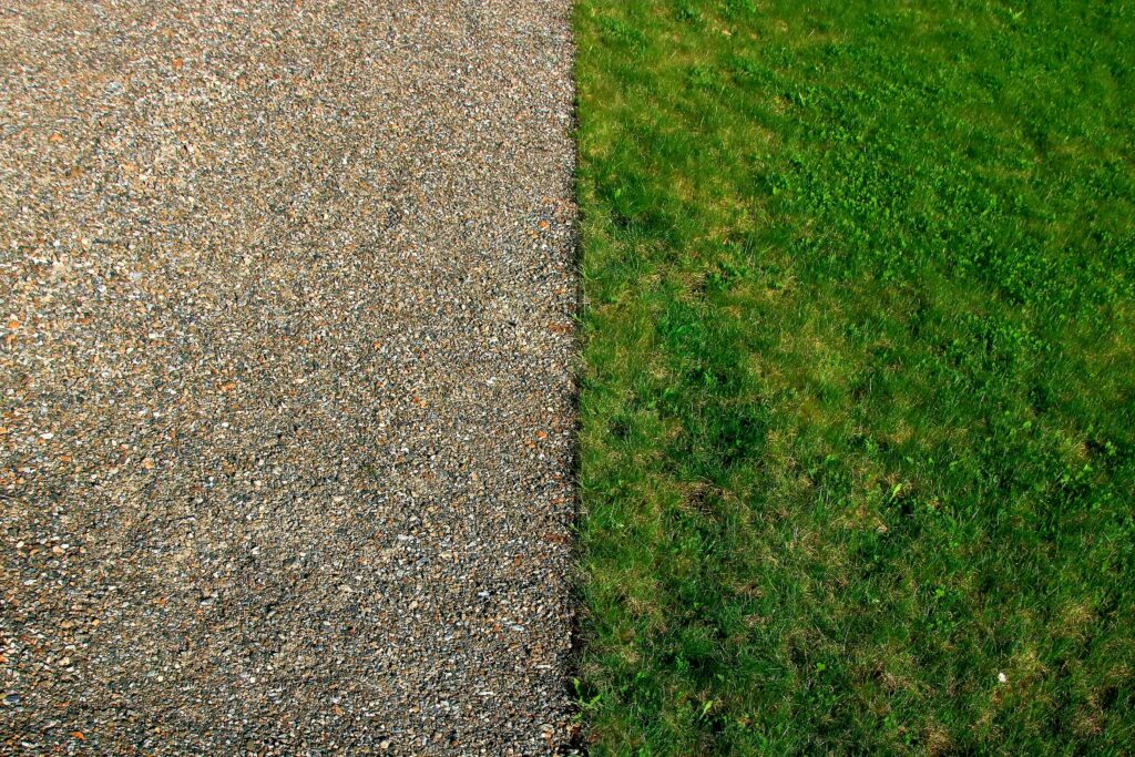 Green grass vs dead grass comparison