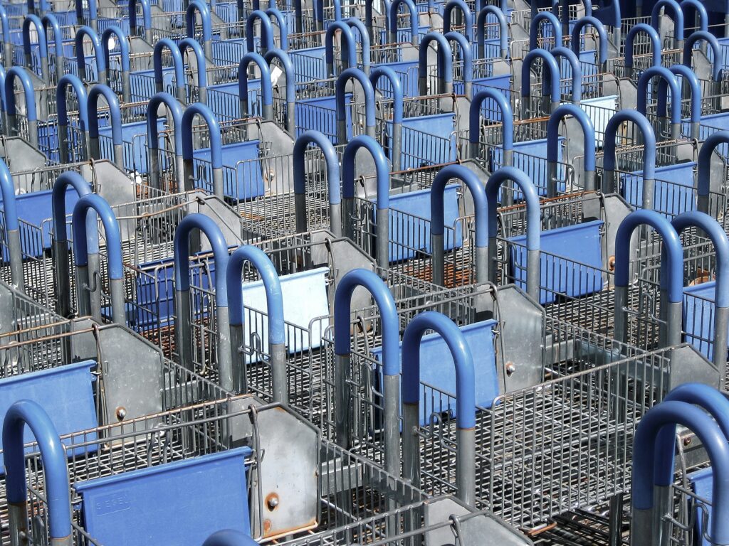 A screen filled with shopping carts