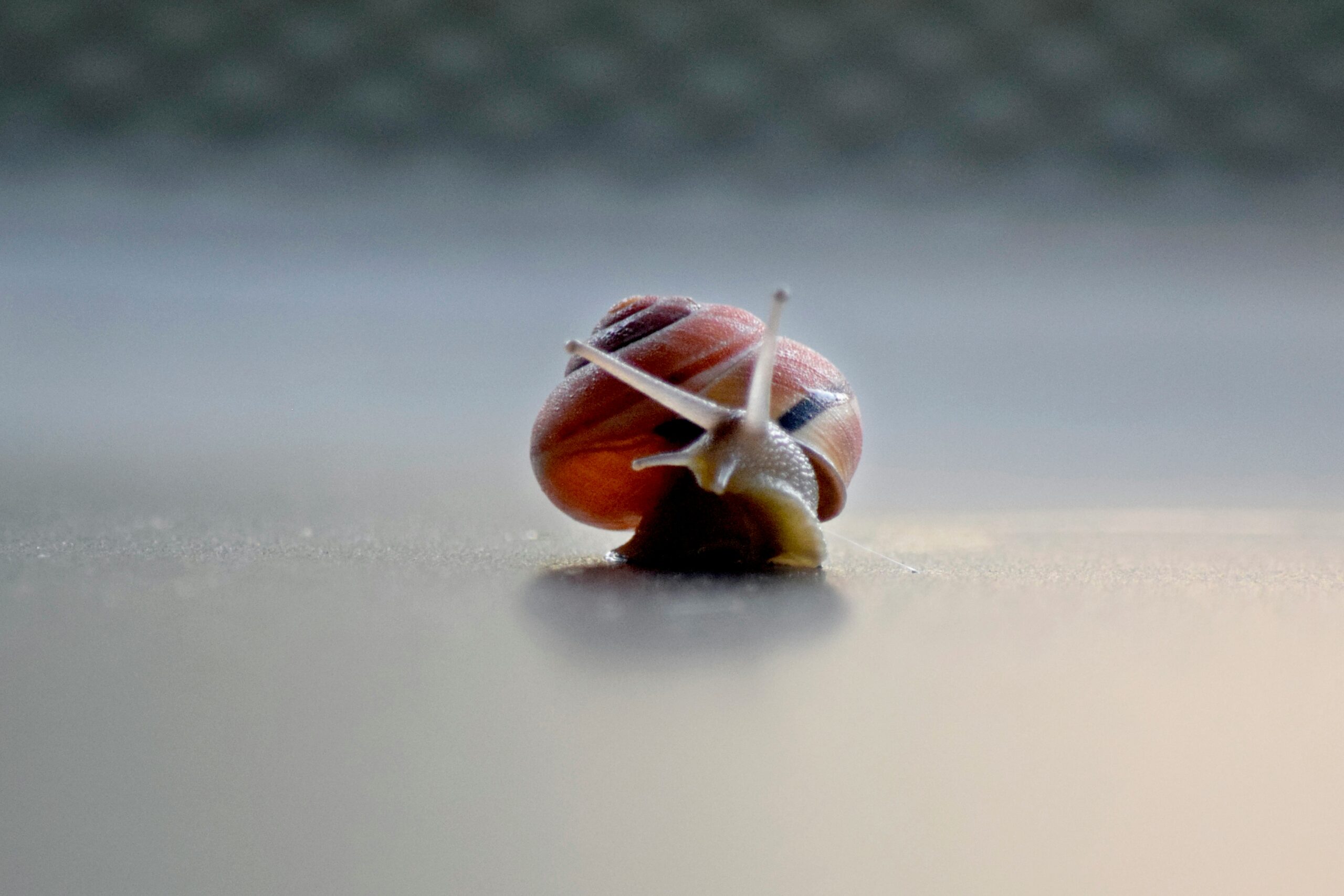What’s Slowing Down Your WooCommerce Store (And How to Fix It Safely)